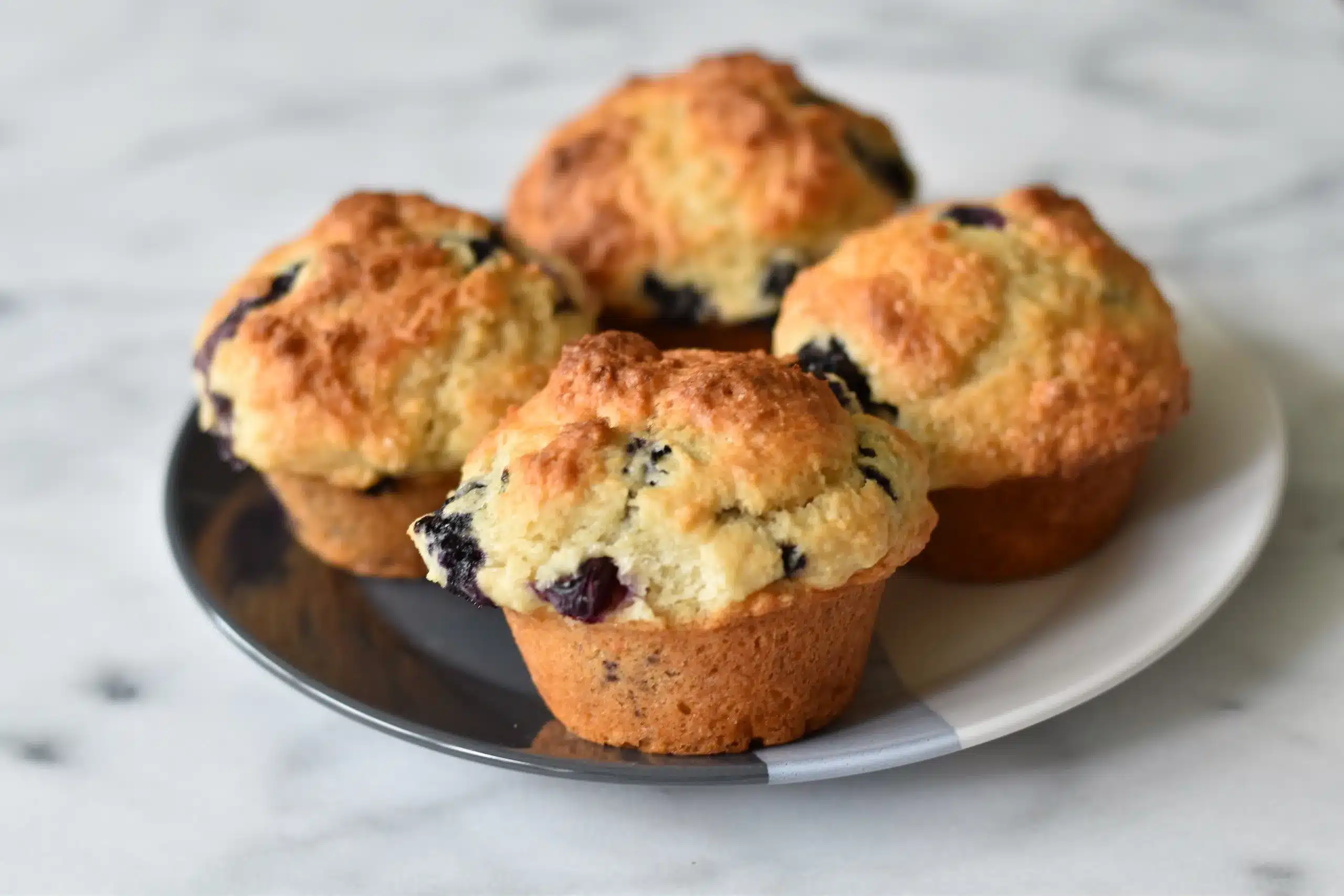 Lemon Blueberry Muffin