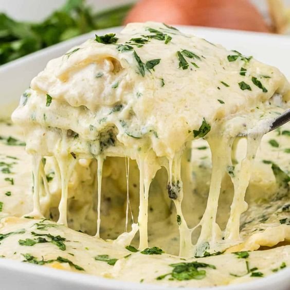 creamy chicken alfredo lasagna