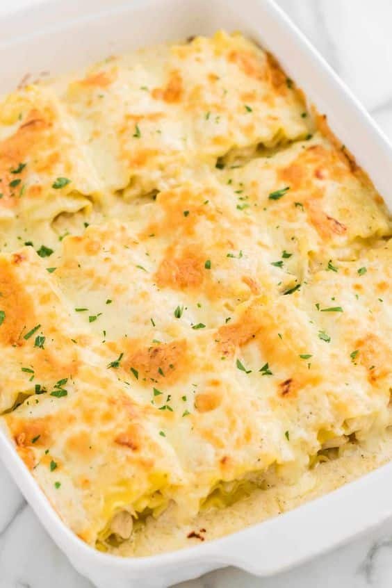 creamy chicken alfredo lasagna