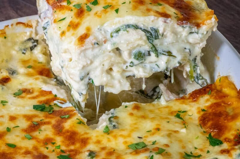 Creamy Chicken Alfredo Lasagna Recipe