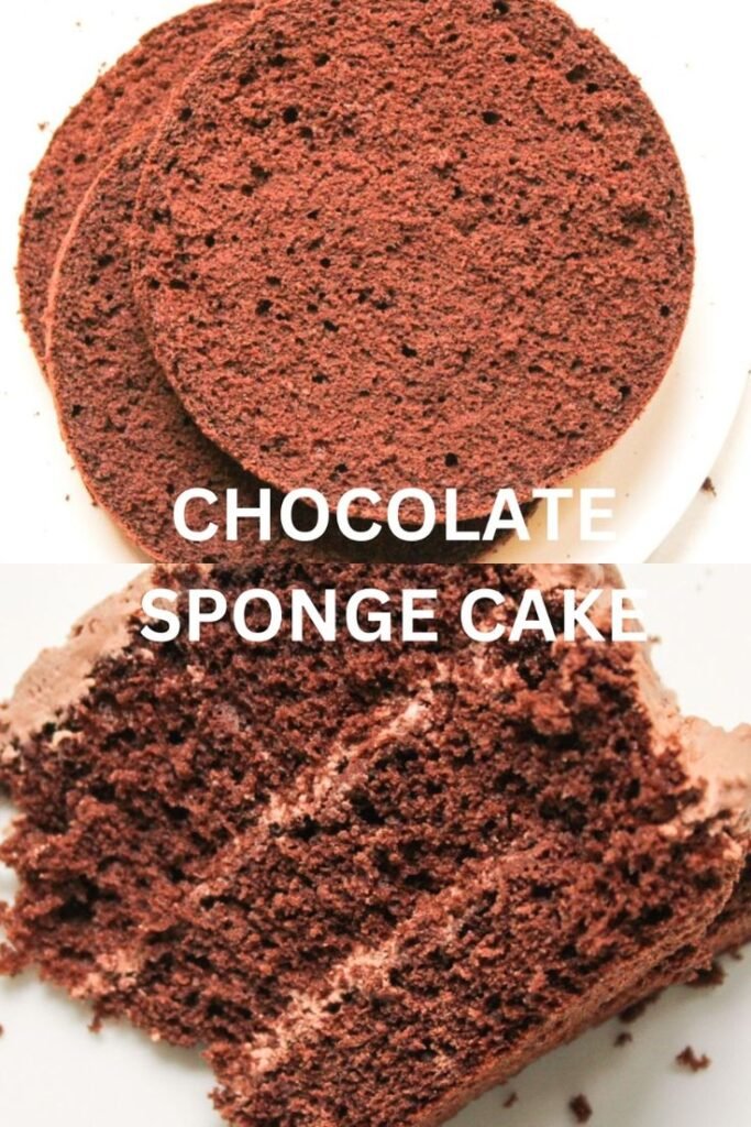 Chocolate Sponge Cake